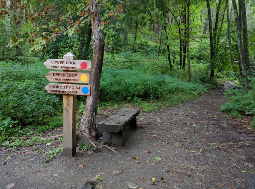 Tourist Attraction «Dover Stone Church», reviews and photos, 3128 NY-22, Dover Plains, NY 12522, USA