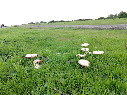 Recreation Center «Shoreline Lake Boathouse», reviews and photos, 3160 N Shoreline Blvd, Mountain View, CA 94043, USA