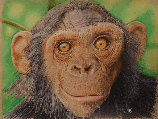 Tattoo Shop «The Shop», reviews and photos, 141 S Grand Ave, Fowlerville, MI 48836, USA