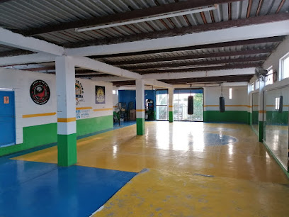 Brazilian Fight Academy - C. Veracruz 313, entre No Reeleción y Calle Hermenegildo Galeana, Centro, Cajeme, 85000 Cd Obregón, Son., Mexico