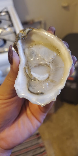 Seafood Market «Metropolitan Seafood & Gourmet», reviews and photos, 1320 US-22, Lebanon, NJ 08833, USA