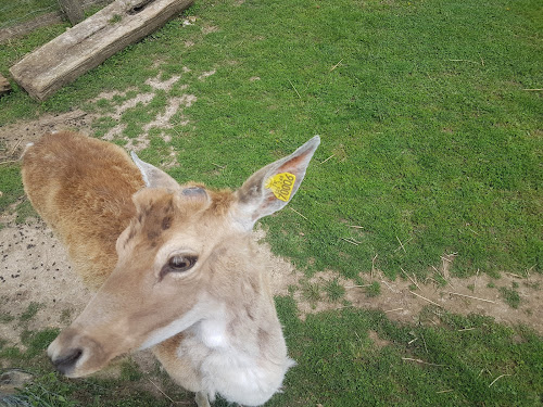 Le parc animalier EDENTARA à Isles-les-Meldeuses