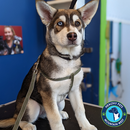 Pet Store «Healthy Pets Mountain West», reviews and photos, 2352 Fort Union Blvd, Cottonwood Heights, UT 84121, USA