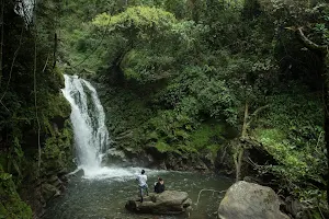 Macana Turismo Comunitario en la Sierra Nevada de Santa Marta image