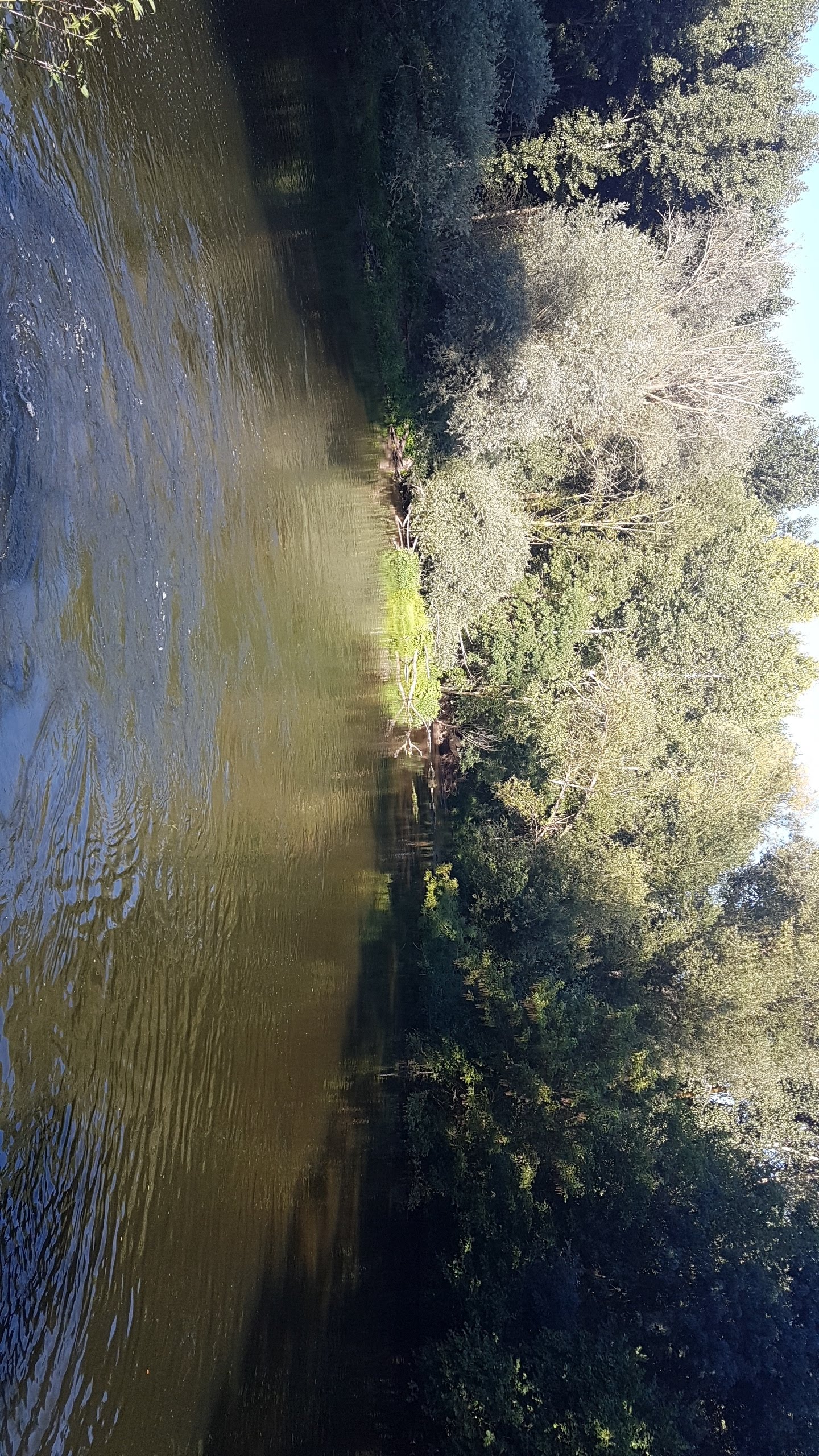 Photo n° 4 de l'avis de Yannick.a fait le 20/07/2020 à 09:43