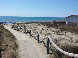Zdjęcie Tor San Lorenzo beach z poziomem czystości wysoki
