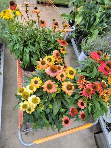 Home Improvement Store «The Home Depot», reviews and photos, 1300-1320 Corporate Dr, Westbury, NY 11590, USA