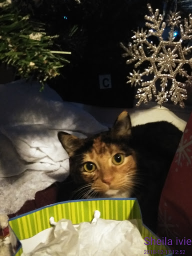 Variety Store «Five Below», reviews and photos, 1550 GA-20, McDonough, GA 30253, USA