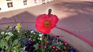 Andrews Park - photo 33