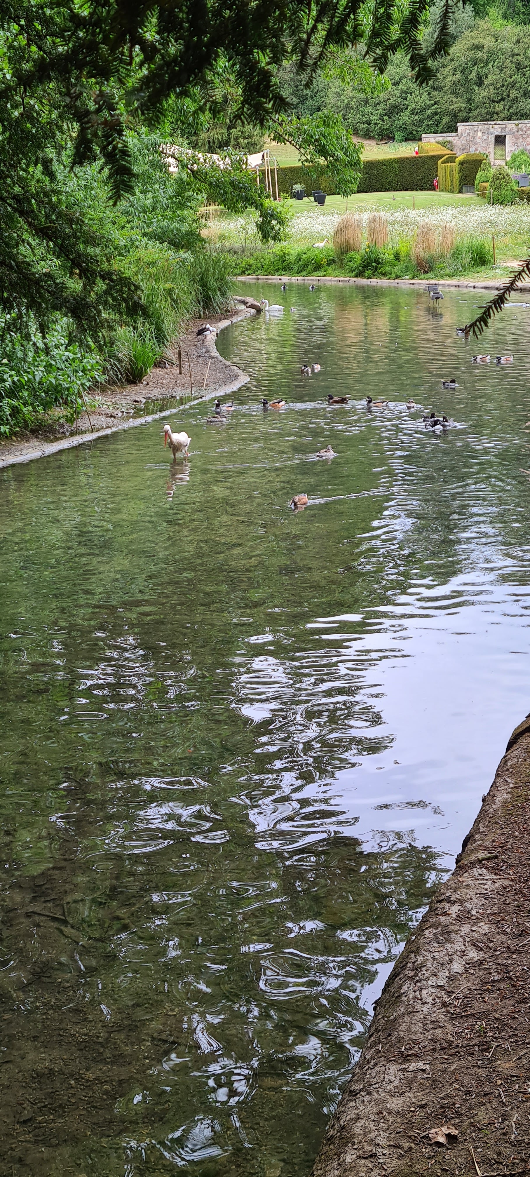 Photo n° 9 de l'avis de Raynald. fait le 15/05/2022 à 18:40