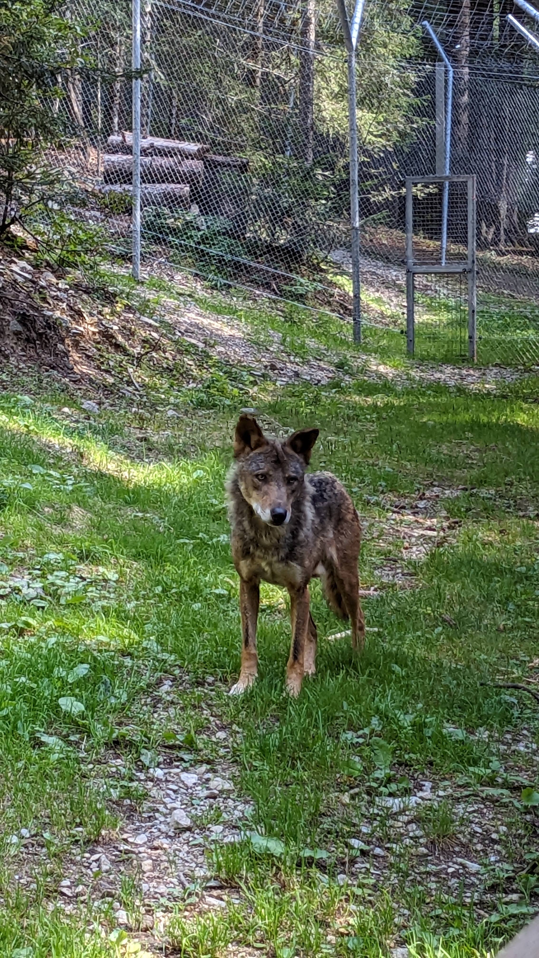 Photo n° 30 de l'avis de Florian.o fait le 11/09/2022 à 15:52