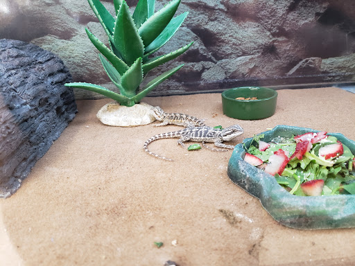 Pet Supply Store «Petco Animal Supplies», reviews and photos, 420 El Cerrito Plaza, El Cerrito, CA 94530, USA