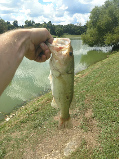 Golf Course «Two Rivers Golf Course», reviews and photos, 2235 2 Rivers Pkwy, Nashville, TN 37214, USA