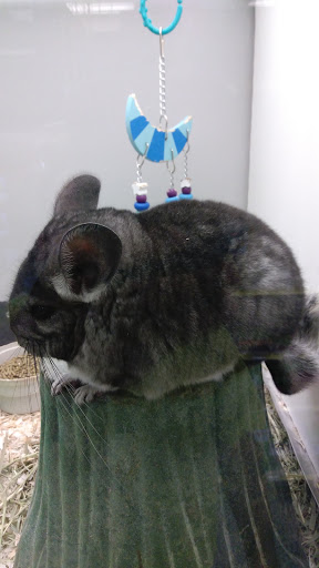 Pet Store «Rockstar Pets», reviews and photos, 215 N Main St, Tooele, UT 84074, USA