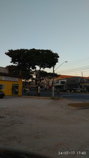 Logo da empresa - Patas de Ouro