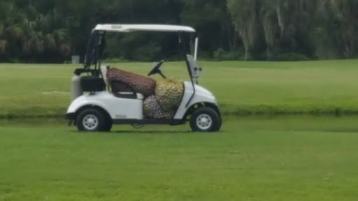 Golf Club «Stoneybrook Golf Club at Heritage Harbour», reviews and photos, 8000 Stone Harbour Loop, Bradenton, FL 34212, USA