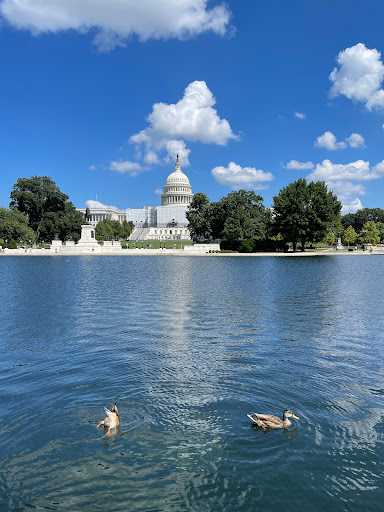 Park «Lafayette Square», reviews and photos, Pennsylvania Ave NW & 16th Street Northwest, Washington, DC 20001, USA