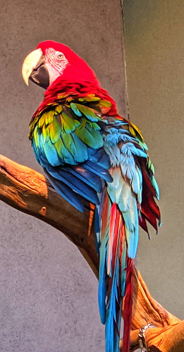 Pet Store «Pet Paradise Grooming», reviews and photos, 1115 Pueblo Blvd Way, Pueblo, CO 81005, USA