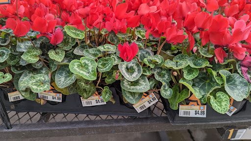 Lowes Home Improvement image