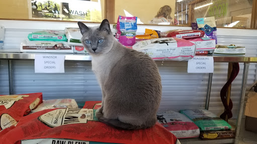 Pet Store «Debbies Pet Boutique», reviews and photos, 431 Center St, Healdsburg, CA 95448, USA