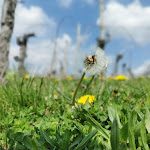 Photo n°3 de l'avis de Sascha.h fait le 20/04/2022 à 05:39 sur le  Panorama Restaurant Fellbach à Fellbach