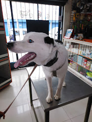 Mi Pataza Clinica Veterinaria