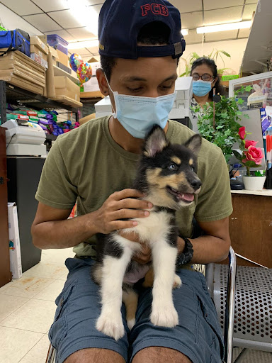 Pet Supply Store «Zoo-Rama Pets», reviews and photos, 2566 E Tremont Ave, Bronx, NY 10461, USA