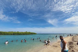 Playa La Caobita image