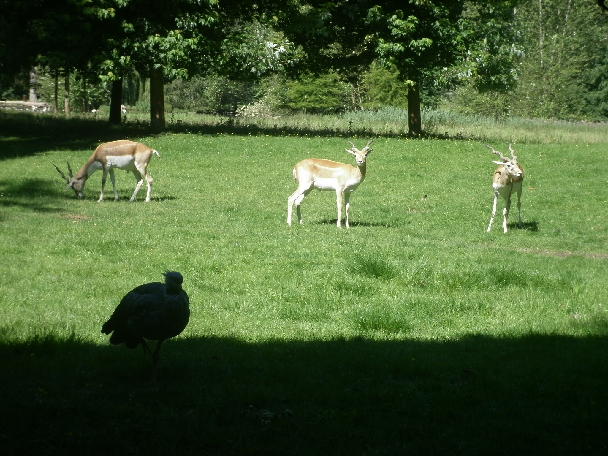 Photo n° 4 de l'avis de Psytrance.p fait le 06/06/2021 à 23:54
