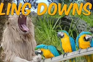 Darling Downs Zoo image