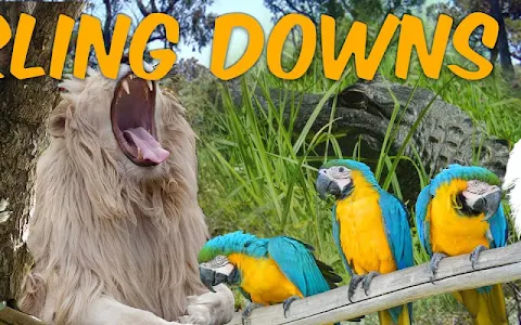 Darling Downs Zoo image