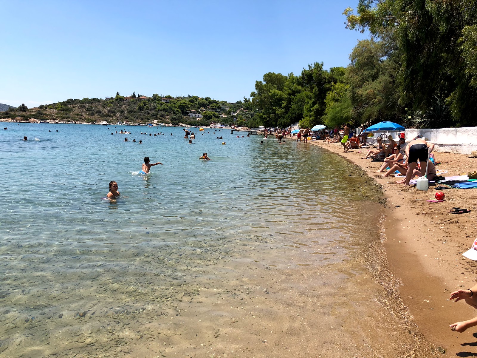 Iliakti Salamis Beach photo #8