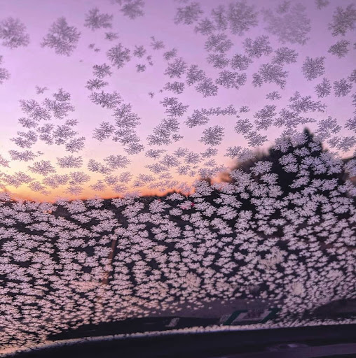 Movie Theater «Regal Cinemas Fox 16 & IMAX», reviews and photos, 22875 Brambleton Plaza, Brambleton, VA 20148, USA