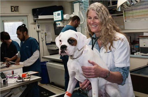 La Cumbre Animal Hospital