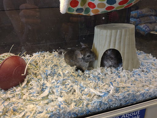 Pet Supply Store «PetSmart», reviews and photos, 4794 Jimmy Lee Smith Pkwy #108, Hiram, GA 30141, USA