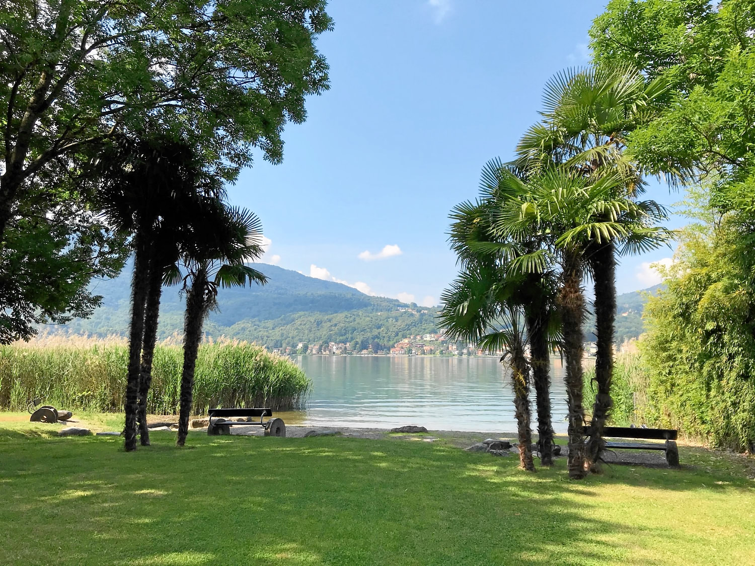 Foto von Strandbad Thun "Strämu" mit gras Oberfläche