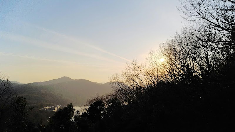 自然観察の森・桜山ダム展望所