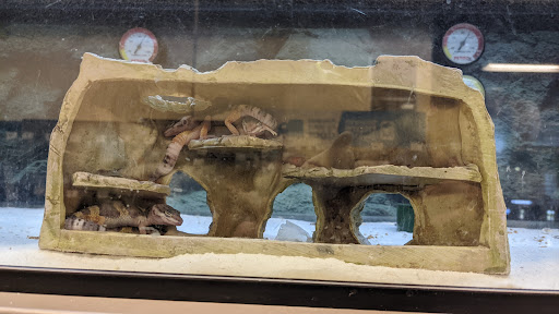 Pet Supply Store «Petco Animal Supplies», reviews and photos, 26209 104th Ave SE, Kent, WA 98030, USA