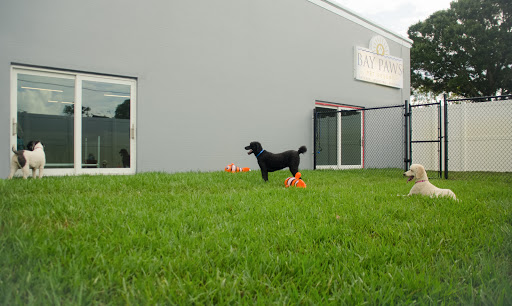 Bay Paws Pet Resort