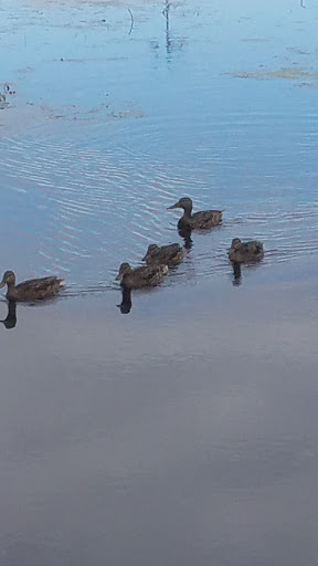 Zoo «Special Memories Zoo», reviews and photos, W7013 Spring Rd, Greenville, WI 54942, USA