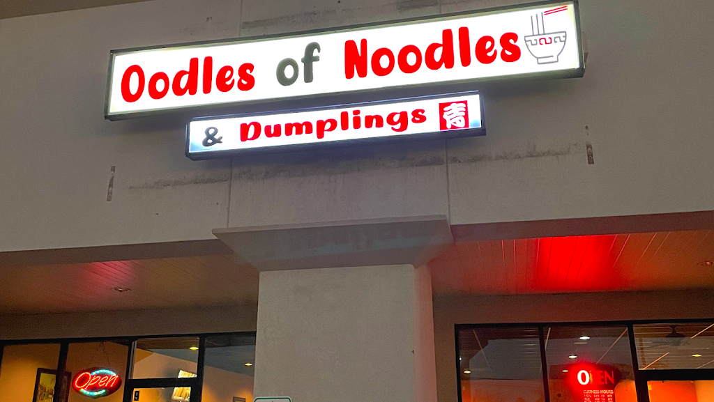 Oodles of Noodles & Dumplings 73142