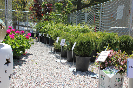 Hardware Store «Northwood Hardware, Home & Garden», reviews and photos, 6053 S Glen Lake Rd, Glen Arbor, MI 49636, USA