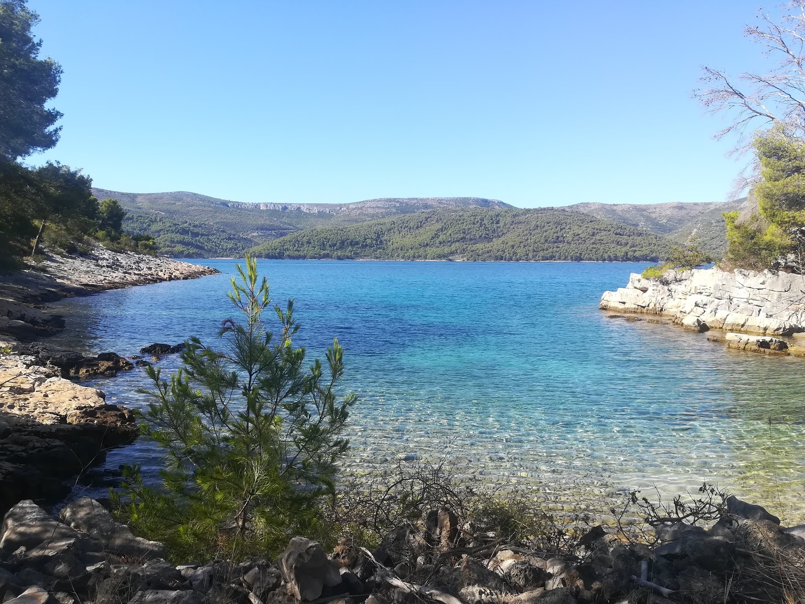 Foto av Brizenica Bay med medium nivå av renlighet