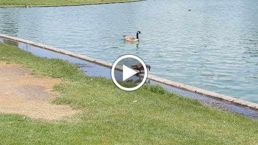 Park «Greer Park», reviews and photos, 6900 W McFadden Ave, Huntington Beach, CA 92647, USA