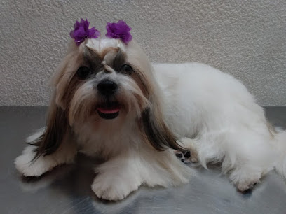 Peluqueria Canina Barny