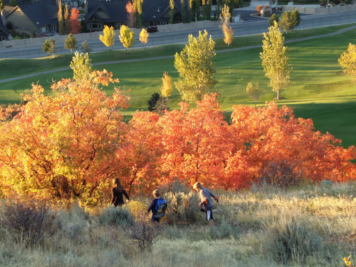 Public Golf Course «Eaglewood Golf Course», reviews and photos, 1110 E Eaglewood Dr, North Salt Lake, UT 84054, USA