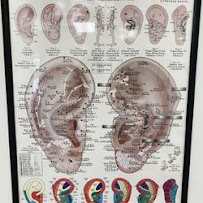 Princess One Chiropractic - Photo 6 - Car repair in Virginia Beach, VA, Norfolk