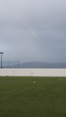 Estádio Municipal Sever do Vouga - Campo de futebol