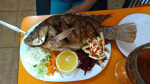 Procesamiento del pescado Santiago de Querétaro