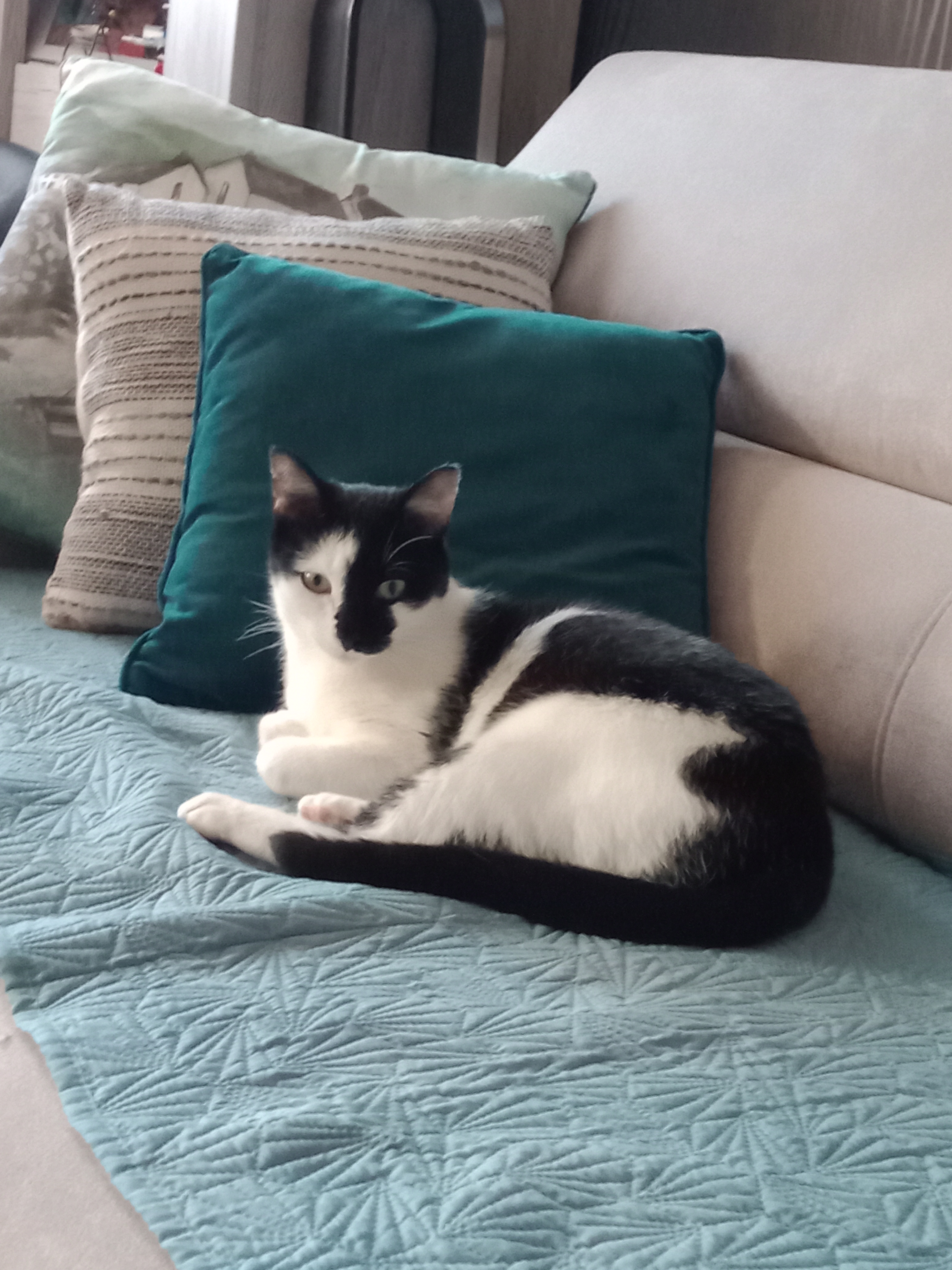 Photo n° 1 de l'avis de Evelyne.a fait le 20/09/2022 à 17:31
